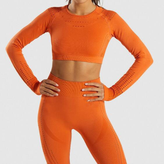 Women Seamless Yoga Sets Workout  Sport Suit Gym Clothing 2 Pieces